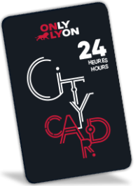 Lyon City Card 24 Stunden: Erwachsener