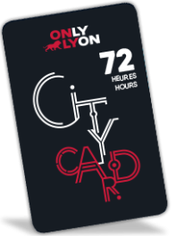 Lyon City Card 72 Stunden: Erwachsener
